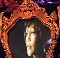 Попын хатан хаан Уитни Хьюстоныг нэхэн шагнажээ